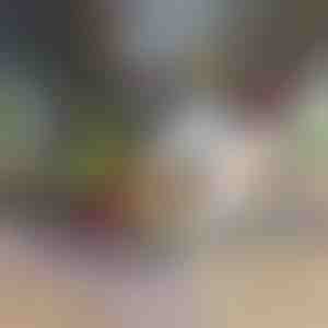 Сечило и ренде 12 во 1 | CHOPMASTER