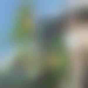 Ранец во форма на диносаурус 3D | DINOBACK