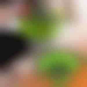 Силиконски филтри (2 парчиња) | FOLDRAIN