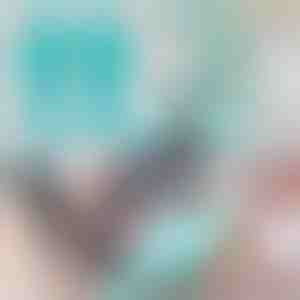 Ракавици за нега и чистење на домашни миленици | FURMITTS