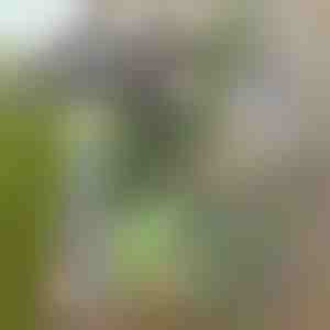 Алатка за градина за лесно отстранување на плевелите | GRASSOE