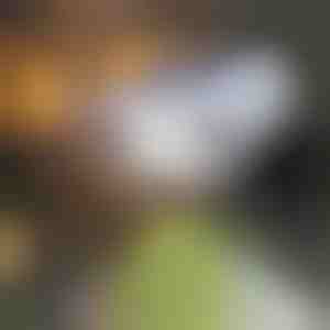 Соларен сензор за движење | LUMACAM