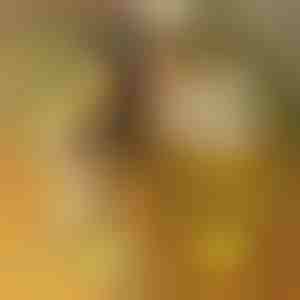 Акрилна LED табла со 7 маркери | LUMOBOARD