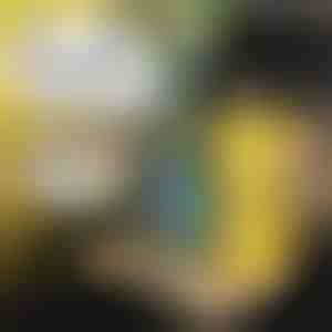 Тавче за автомобил за деца | MUNCHI