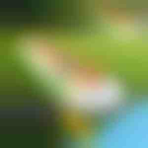 Надувлив тобоган (465x80cm) | REEFLY