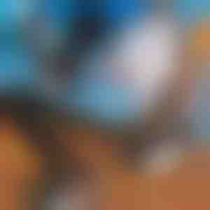 Прилагодлива раменска торба за носење ски | SKITREK