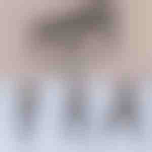 Мултифункционална пилатес стапка | TONEBAR