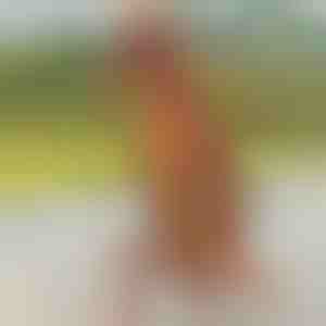 Надувлив костум од диносаурус | TREXCOS