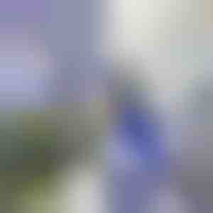 Воден пиштол | WATERJET