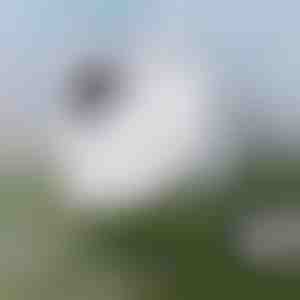 Лесно чистење на прозорци | WINDOWSWIPE