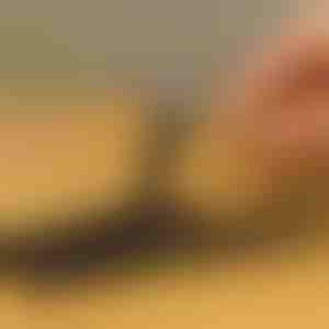 Сет од 10 екстрактори за завртки | SCREWX