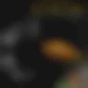 Сет за хранење во аквариум | FINTROL