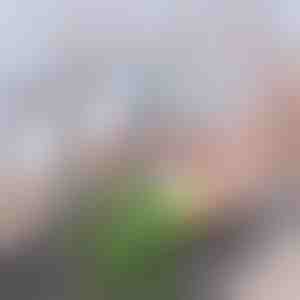 Напреден јаглероден филтер за чешма | CHARFILTER