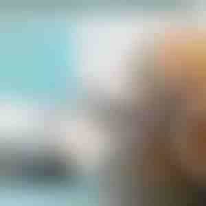 Преносен сеф за вредни предмети дома, на плажа, на работа или за време на тренинг | SAFORY