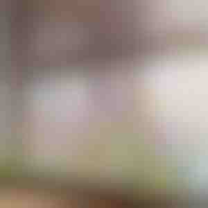 Живописна цветна налепница за прозорец | FLORASTIK